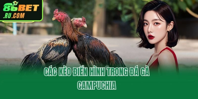 Các kèo điển hình trong đá gà Campuchia