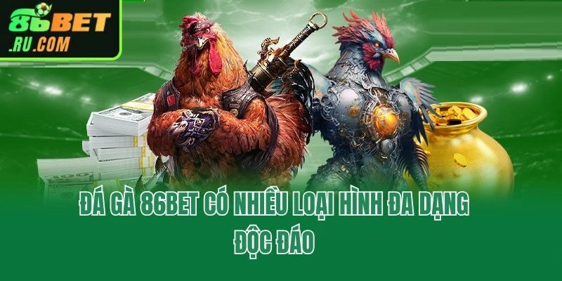 Đá gà 86bet có nhiều loại hình đa dạng độc đáo